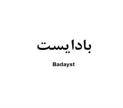 برند اماده شوینده بادایست Badayst