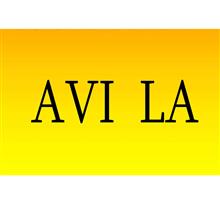 برند فروشی AVI LA