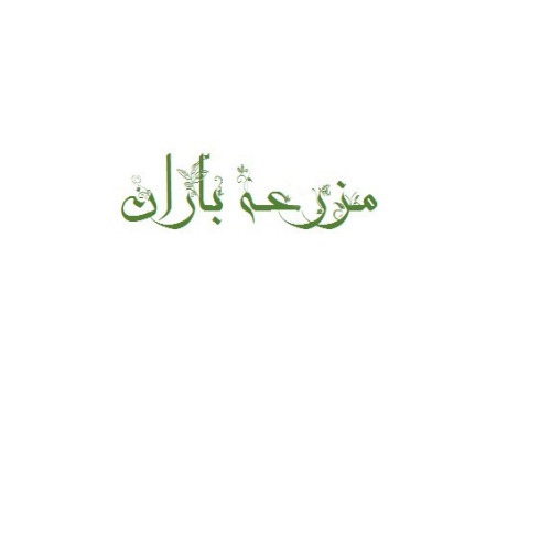 برنده آماده فروش مزرعه باران