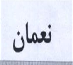 برند آماده مواد غذایی نعمان