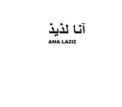 برند اماده مواد غذایی آنا لذیذ ANA LAZIZ