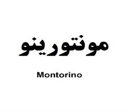 برند آماده فروشی مونتورینو Montorino