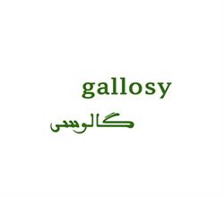 برند لوازم خانگی gallosy گالوسی