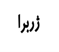 برند اماده مواد غذایی ژربرا