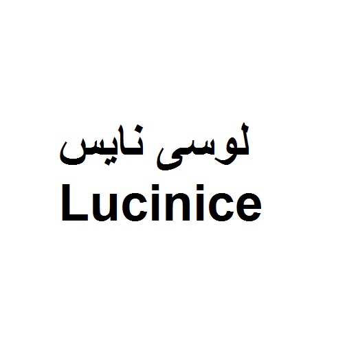 برند فروشی لوسی نایس Luci nice