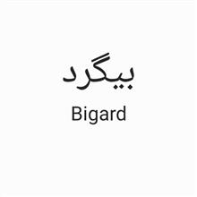 برند اماده مواد غذایی بیگرد Bigard