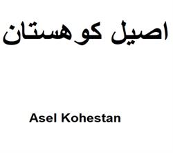 برند اماده اصیل کوهستان Asel Kohestan