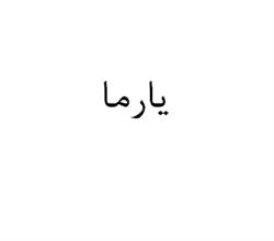 برند آماده خشکبار یارما