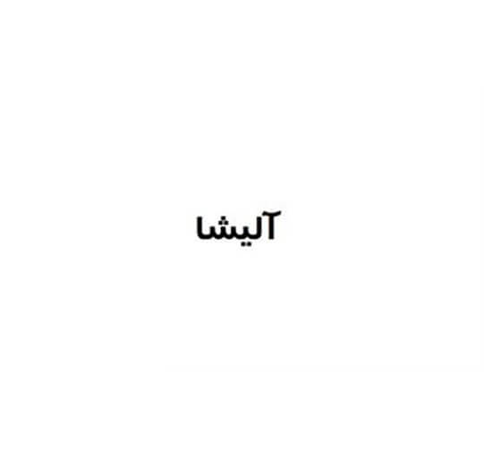 برند آماده زغال سنگ آلیشا