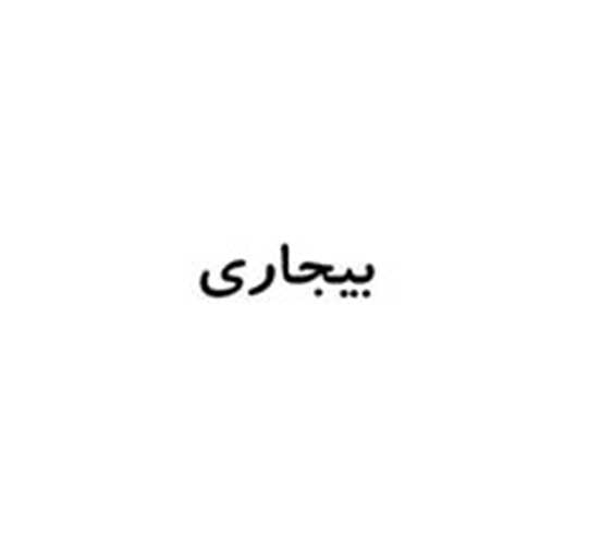 فروش برند آماده بیجاری