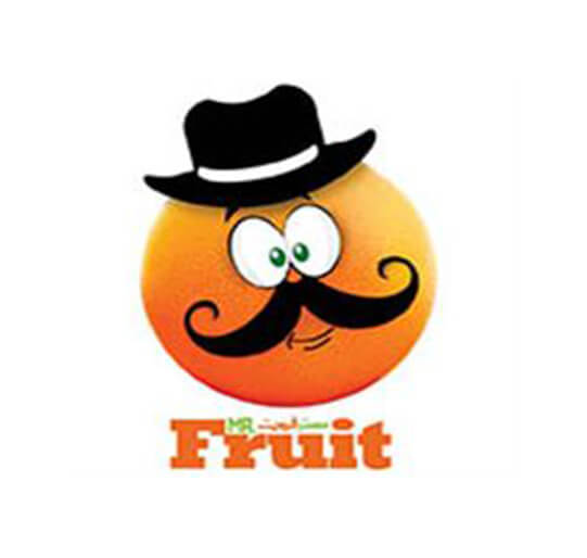 برند آماده مواد غذایی Mr fruit مستر فروت