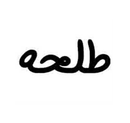 برند فروشی طلحه