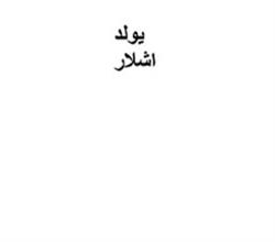برند آماده شیرینی یولد اشلار