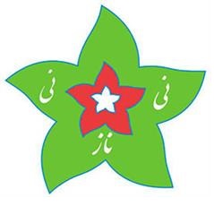برند اماده پوشاک نی نی ناز